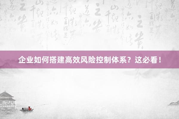 企业如何搭建高效风险控制体系？这必看！