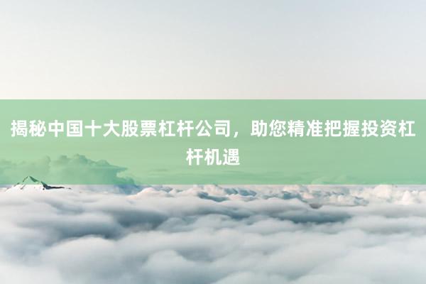 揭秘中国十大股票杠杆公司，助您精准把握投资杠杆机遇